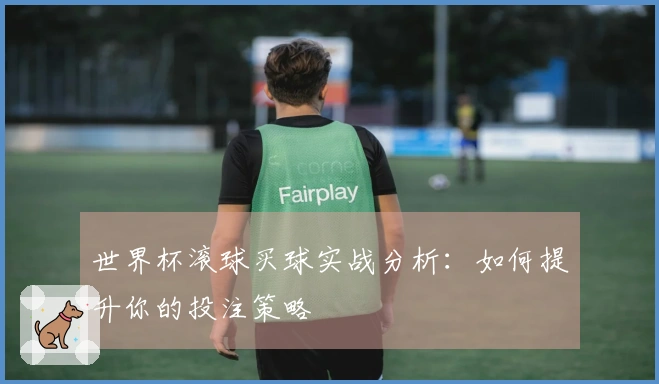 世界杯滚球买球实战分析：如何提升你的投注策略