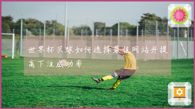世界杯买球如何选择最佳网站并提高下注成功率