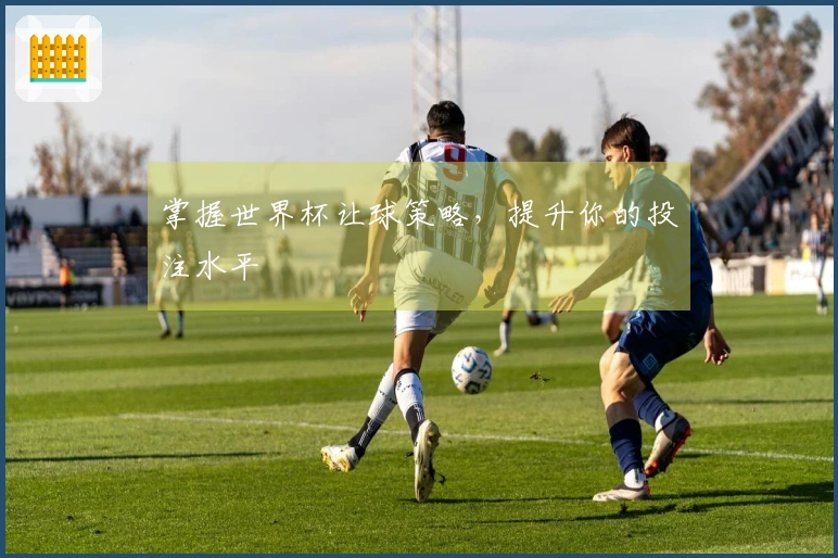 掌握世界杯让球策略，提升你的投注水平