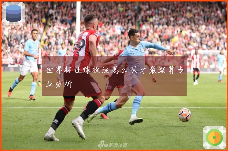 世界杯让球投注怎么买才最划算专业分析