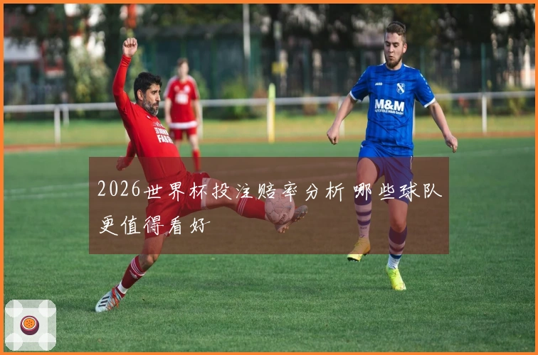 2026世界杯投注赔率分析 哪些球队更值得看好