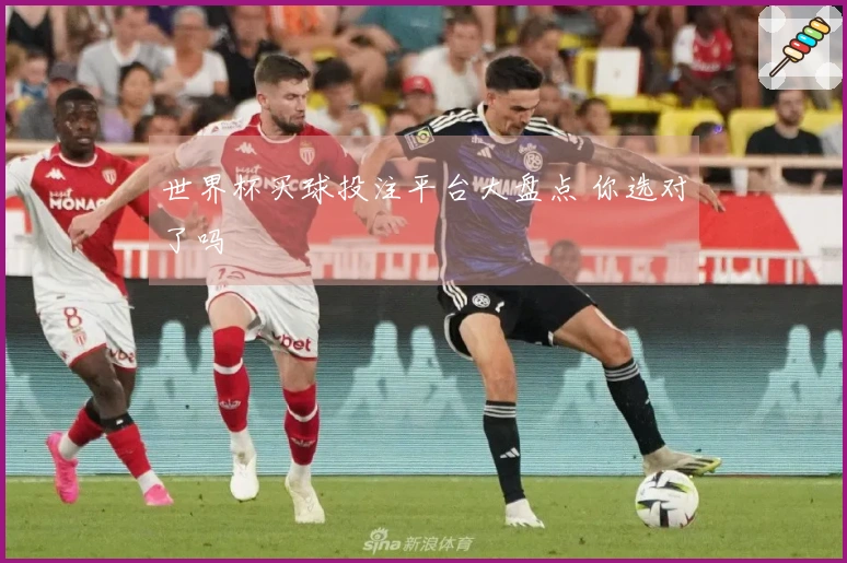 世界杯买球投注平台大盘点 你选对了吗