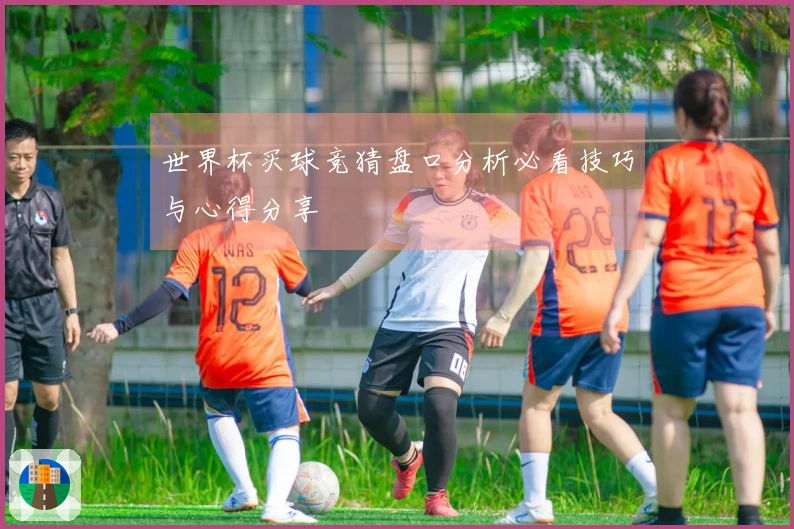 世界杯买球竞猜盘口分析必看技巧与心得分享